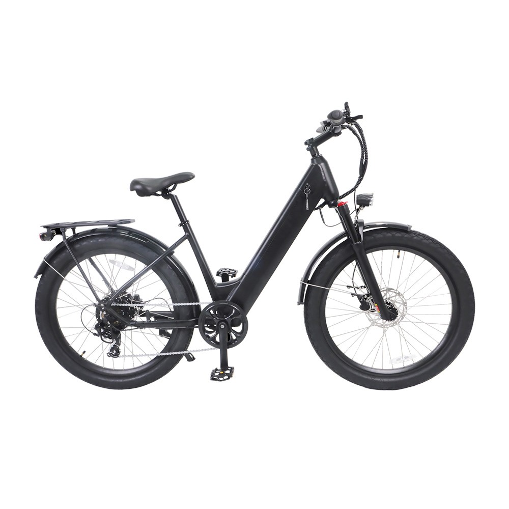 ELECTRIC CITY BIKE FZ01