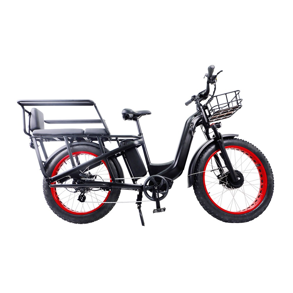 ELECTRIC CARGO BIKE ER61