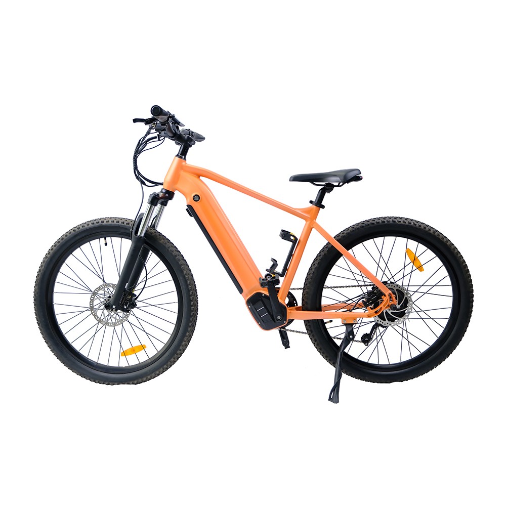 HARD TAIL E-MTB WITH UNIQUE CONTROLLER BOX NW06