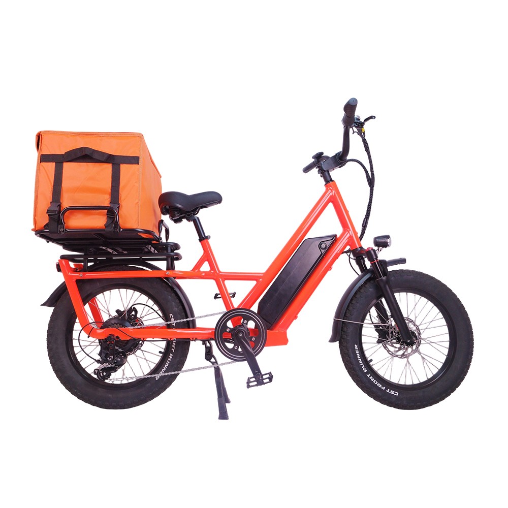 48V500W IOT POWERED DELIVERY E-BIKE RE01
