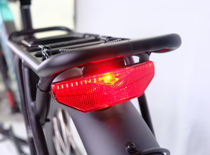 RadRover Electric Fat Bike Version 5key feature 3